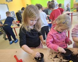 dzieci podczas zakładania wiosennej hodowli roślin