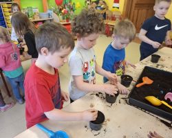 dzieci podczas zakładania wiosennej hodowli roślin