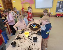 dzieci podczas zakładania wiosennej hodowli roślin