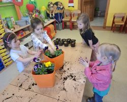 dzieci podczas zakładania wiosennej hodowli roślin