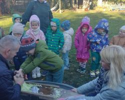 zdjęcia dzieci podczas wycieczki do gospodarstwa wiejskiego