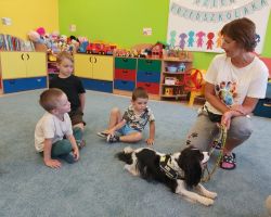 zdjęcia dzieci podczas różnych aktywności