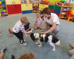 zdjęcia dzieci podczas różnych aktywności