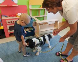 zdjęcia dzieci podczas różnych aktywności