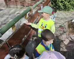 dzieci i dorośli podczas warsztatów i zwiedzania ogrodu zoobotanicznego