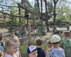 dzieci i dorośli podczas warsztatów i zwiedzania ogrodu zoobotanicznego