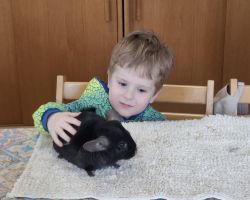 dzieci i dorośli podczas warsztatów i zwiedzania ogrodu zoobotanicznego