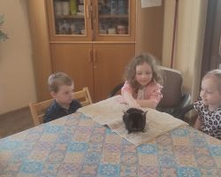 dzieci i dorośli podczas warsztatów i zwiedzania ogrodu zoobotanicznego