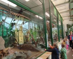 dzieci i dorośli podczas warsztatów i zwiedzania ogrodu zoobotanicznego