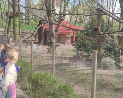 dzieci i dorośli podczas warsztatów i zwiedzania ogrodu zoobotanicznego