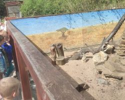 dzieci i dorośli podczas warsztatów i zwiedzania ogrodu zoobotanicznego