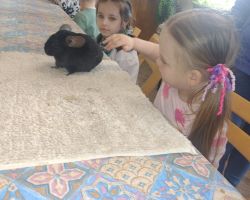 dzieci i dorośli podczas warsztatów i zwiedzania ogrodu zoobotanicznego