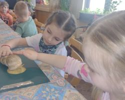 dzieci i dorośli podczas warsztatów i zwiedzania ogrodu zoobotanicznego