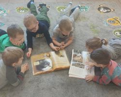 dzieci podczas zajęć dydaktycznych i zabaw