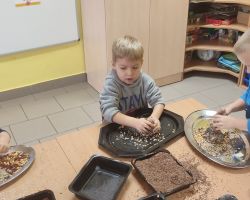 dzieci podczas spotkania z bibliotekarką na zajęciach o ptakach