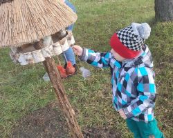 dzieci podczas spotkania z bibliotekarką na zajęciach o ptakach