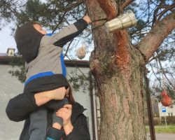 dzieci podczas spotkania z bibliotekarką na zajęciach o ptakach