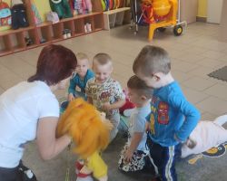 zdjęcia dzieci i kynoterapeuty podczas dogoterapii