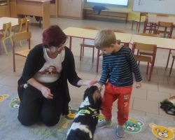 zdjęcia dzieci podczas dogoterapii