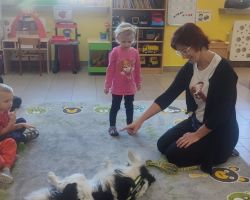 zdjęcia dzieci podczas dogoterapii