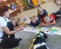 zdjęcia dzieci podczas dogoterapii