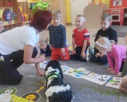 zdjęcia dzieci podczas dogoterapii