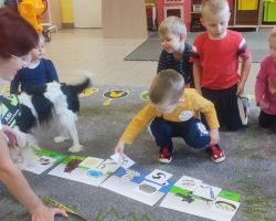 zdjęcia dzieci podczas dogoterapii