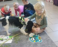 zdjęcia dzieci podczas dogoterapii