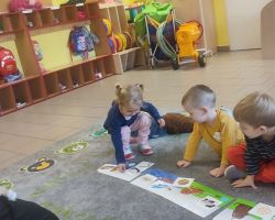 zdjęcia dzieci podczas dogoterapii