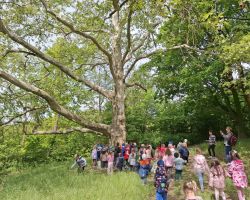 zdjęcia dzieci i dorosłych podczas wycieczki do skłudzewa