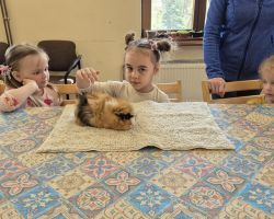 dzieci i dorośli podczas warsztatów i zwiedzania ogrodu zoobotanicznego