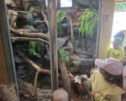 dzieci i dorośli podczas warsztatów i zwiedzania ogrodu zoobotanicznego