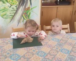 dzieci i dorośli podczas warsztatów i zwiedzania ogrodu zoobotanicznego