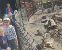 dzieci i dorośli podczas warsztatów i zwiedzania ogrodu zoobotanicznego