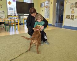 dzieci, teraputa i dwa psy podczas zajęć z dogoterapii