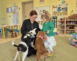 dzieci, teraputa i dwa psy podczas zajęć z dogoterapii