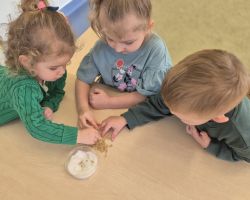 dzieci podczas obchodów pierwszego dnia wiosny