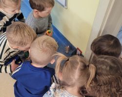 dzieci obserwujące psikusy elfa