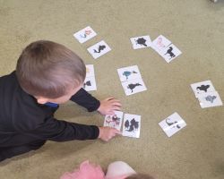 zdjęcia dzieci podczas obchodów dnia postaci z bajek