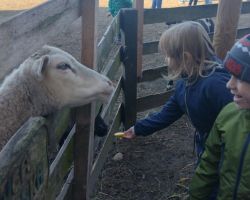 zdjęcia dzieci podczas wycieczki do gospodarstwa wiejskiego