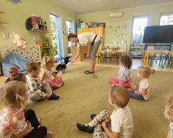 zdjęcia dzieci podczas dogoterapii