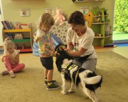 zdjęcia dzieci podczas dogoterapii