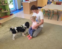 zdjęcia dzieci podczas dogoterapii