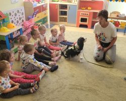 zdjęcia dzieci podczas dogoterapii