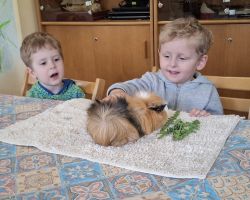 dzieci i dorośli podczas warsztatów i zwiedzania ogrodu zoobotanicznego