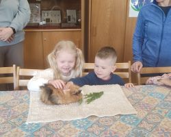 dzieci i dorośli podczas warsztatów i zwiedzania ogrodu zoobotanicznego