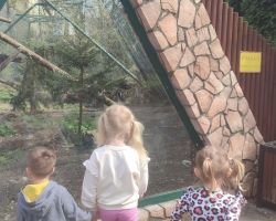 dzieci i dorośli podczas warsztatów i zwiedzania ogrodu zoobotanicznego