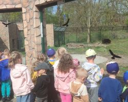 dzieci i dorośli podczas warsztatów i zwiedzania ogrodu zoobotanicznego