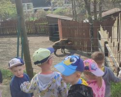 dzieci i dorośli podczas warsztatów i zwiedzania ogrodu zoobotanicznego