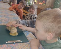 dzieci i dorośli podczas warsztatów i zwiedzania ogrodu zoobotanicznego